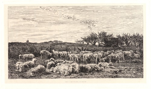 Charles FranÃ§ois Daubigny (French, 1817 - 1878). The Sheepfold, Morning (La Grand Parc Ã  Moutons,