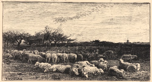 Charles FranÃ§ois Daubigny (French, 1817 - 1878). Le Grand Parc a Moutons, 1862. From Quarante