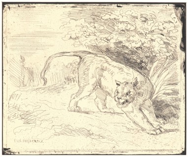 EugÃ¨ne Delacroix (French, 1798 - 1863). Tigre en Arret, 19th century. From Quarante Clichés-Glace.