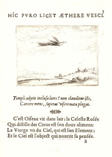 Jacques Callot (French, 1592 - 1635). L'Oisseau de Paradis, 17th century. From The Life of the