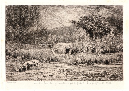 Charles FranÃ§ois Daubigny (French, 1817 - 1878). Pig in an Orchard (Le Cochon dans un Verger), ca.
