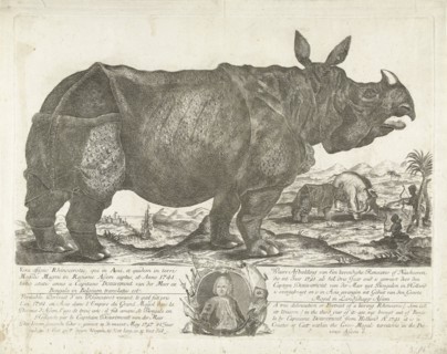 The rhinocerus Clara, 1741, print maker: H. Oster, Anton August Beck, Johann Georg Schmidt, 1747