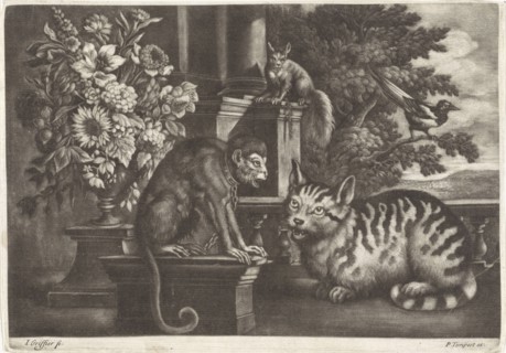 Monkey, cat, squirrel and magpie, Jan Griffier I, Francis Barlow, Pierce Tempest, 1667-1717