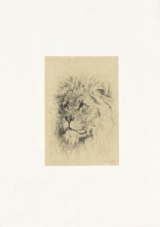 Head of a lion, Frederick Willem Zurcher, 1845-1894