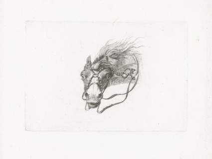 Horse head with flowing mane, Joannes Bemme, Gerrit Malleyn, c. 1800 - in or before 1841
