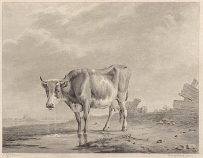 Drinking cow at the water, Diederik Jan Singendonck, 1814