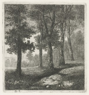 View of a forest, Hermanus Jan Hendrik van Rijkelijkhuysen, 1823 - 1883