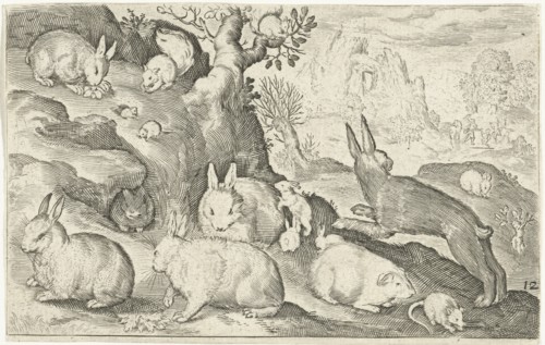 rabbits, squirrel, guinea pig and mouse, Nicolaes de Bruyn, 1594
