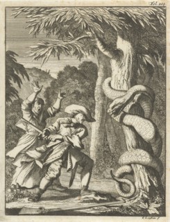 Giant Serpent, wound around a tree, attacked by a man with ax, Caspar Luyken, Willem van de Water,