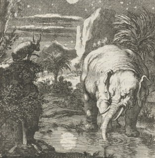 Hare and elephant with a full moon near a spring, Jan Luyken, Aart Wolsgrein, 1693