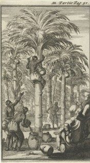 Obtaining palm wine in India, Jan Luyken, Charles Angot, 1689