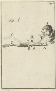 Movement of the arm, Fig 6, Jan Luyken, Jan Claesz ten Hoorn, 1683