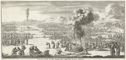 sacrifice of the red heifer, Jan Luyken, Willem Goeree, 1683