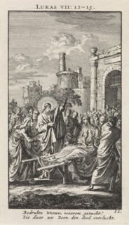Generation of the son of the widow of Nain, Jan Luyken, wed. Pieter Arentsz & Cornelis van der Sys