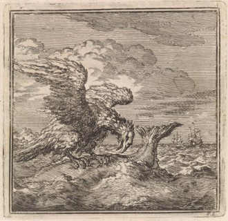 Eagle has caught a big fish, Jan Luyken, wed. Pieter Arentsz & Cornelis van der Sys (II), 1711