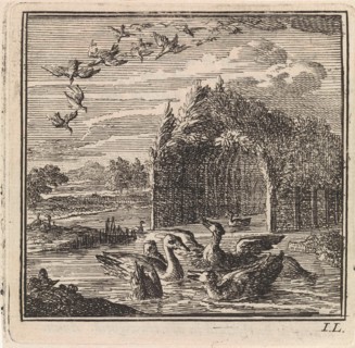 Wild and domestic ducks, Jan Luyken, wed. Pieter Arentsz & Cornelis van der Sys (II), 1711