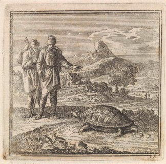 Two travelers admire a turtle, Jan Luyken, wed. Pieter Arentsz & Cornelis van der Sys (II), 1711