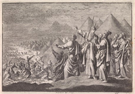 Quail in the Desert, Jan Luyken, Pieter Mortier, 1703 - 1762