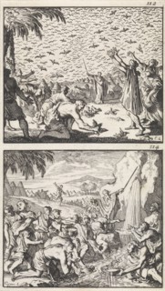 Quail in the Desert, Moses strikes water from the rock, print maker: Caspar Luyken, Barent
