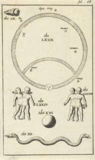Anatomical figure IV, Jan Luyken, Jan Claesz ten Hoorn, 1680 - 1688