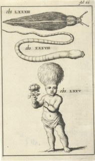 Anatomical figure III, Jan Luyken, Jan Claesz ten Hoorn, 1680 - 1688
