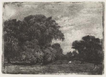 Landscape with three trees and grazing cows, Julius Jacobus van de Sande Bakhuyzen, 1845 - 1925