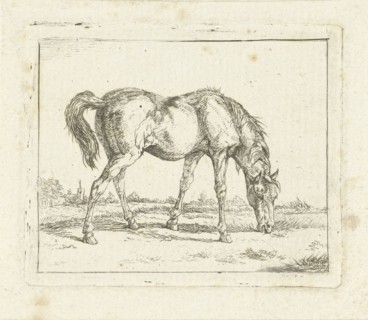 Grazing horse, Jan Dasveldt, 1780 - 1855