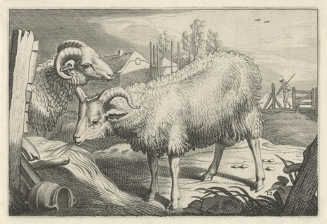 Pasture with a sheep and a ram, Reinier van Persijn, Jacob Gerritsz Cuyp, Nicolaes Visscher (I),