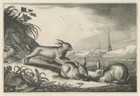 Dune landscape with rabbits, Reinier van Persijn, Jacob Gerritsz Cuyp, Nicolaes Visscher (I), 1641