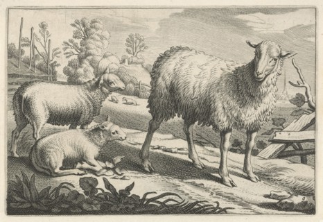 Pasture with a sheep and two lambs, Reinier van Persijn, Jacob Gerritsz Cuyp, Nicolaes Visscher