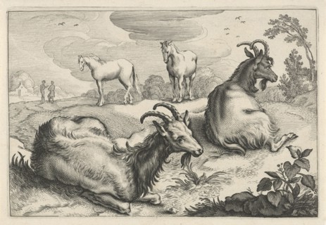 Landscape with two goats and two horses, print maker: Reinier van Persijn, Jacob Gerritsz Cuyp,