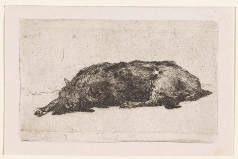Sleeping dog, Jan Weissenbruch, 1837 - 1880