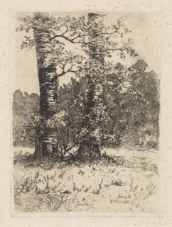 Two trees, Elias Stark, 1886