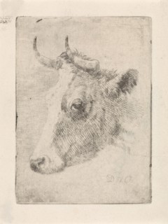 Head of a bull, Dirk van Oosterhoudt, 1766 - 1830