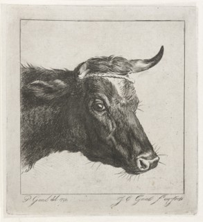 Head of a cow with rope around the horns, Jacobus Cornelis Gaal, 1854