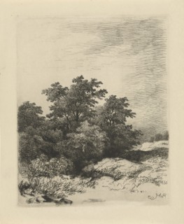 Landscape with trees, print maker: Remigius Adrianus Haanen, 1859