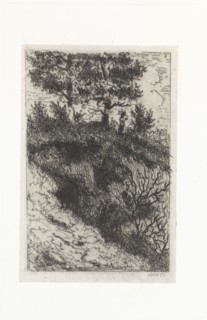 Woman in a dune landscape, Arnoud Schaepkens, 1831 - 1904