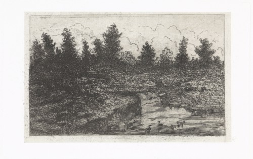 Pond with ducks, Arnoud Schaepkens, 1831-1904