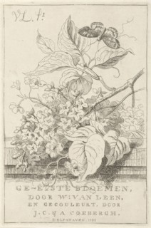 Flower Study with butterfly, Willem van Leen, 1801