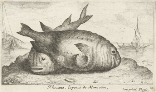 Two porpoises on the beach, Frans Geffels, 1668 - c. 1670
