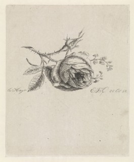 A rose and forget-me-nots, Elisabeth Johanna Koning, 1850
