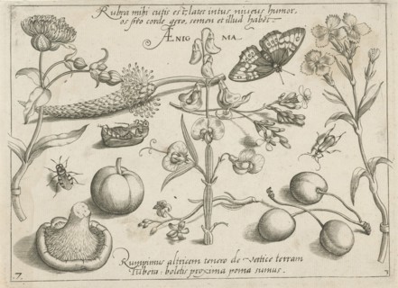 Insects, plants and fruits around a sweet pea, print maker: Jacob Hoefnagel, Joris Hoefnagel,
