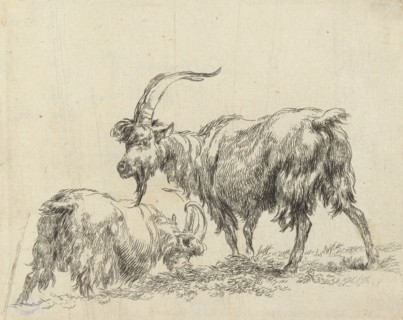 Two goats or goats, Nicolaes Pietersz. Berchem, 1648 - 1652