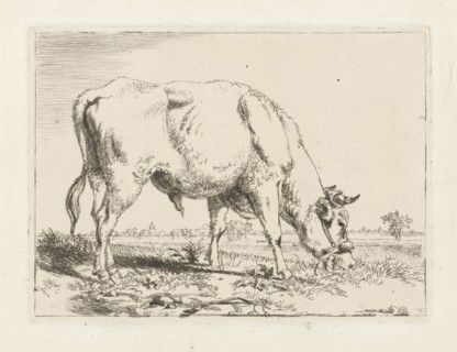 Grazing bull, Pieter Gerardus van Os, 1798