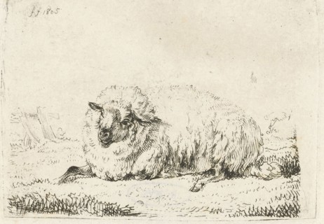Lying sheep with thick fur, Frédéric Théodore Faber, 1805
