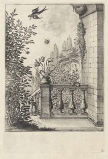 Fable of the spider and the swallow, Dirk Stoop, John Ogilby, 1665