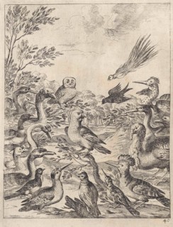 Parliament of birds, Dirk Stoop, John Ogilby, 1665