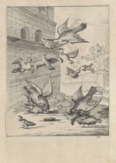 Fable of the doves and the hawks, Dirk Stoop, John Ogilby, 1665