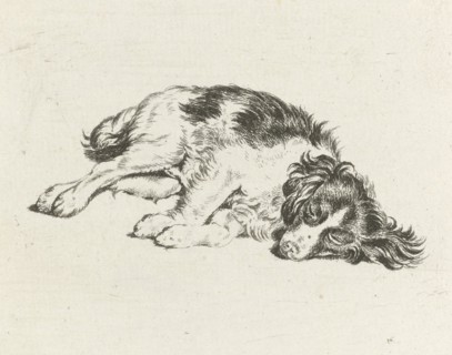 Sleeping dog, Hendrik Godart de Marée, 1752 - 1783