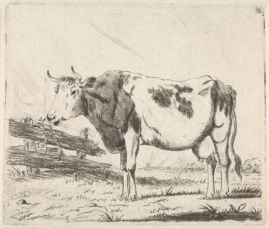 Cow at fence, Pieter Janson, 1780 - 1851
